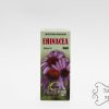 Ehinacea kapi